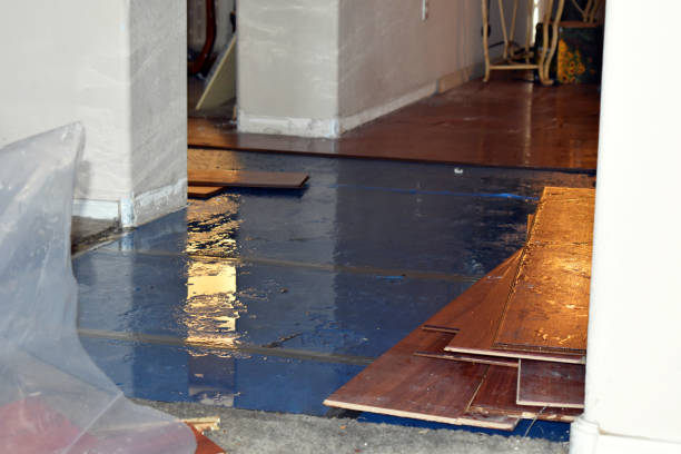 Professional Sewage Cleanup technician working in Utica, IN